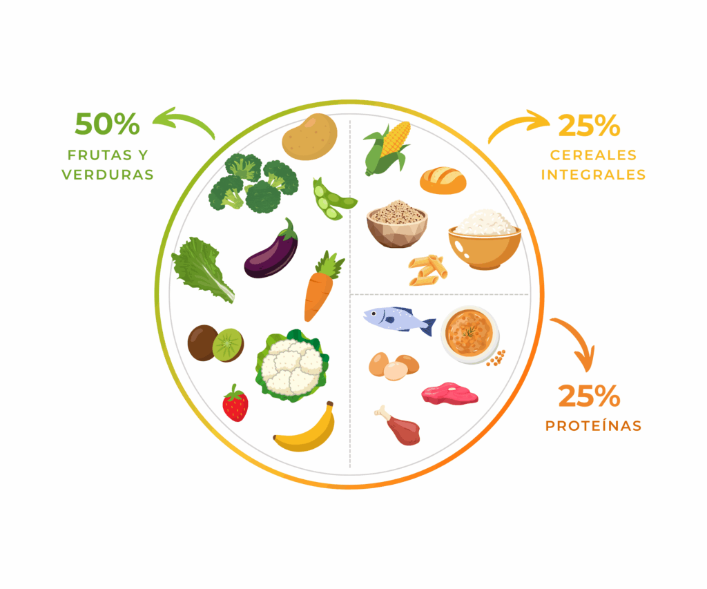 que es el plato de harvard