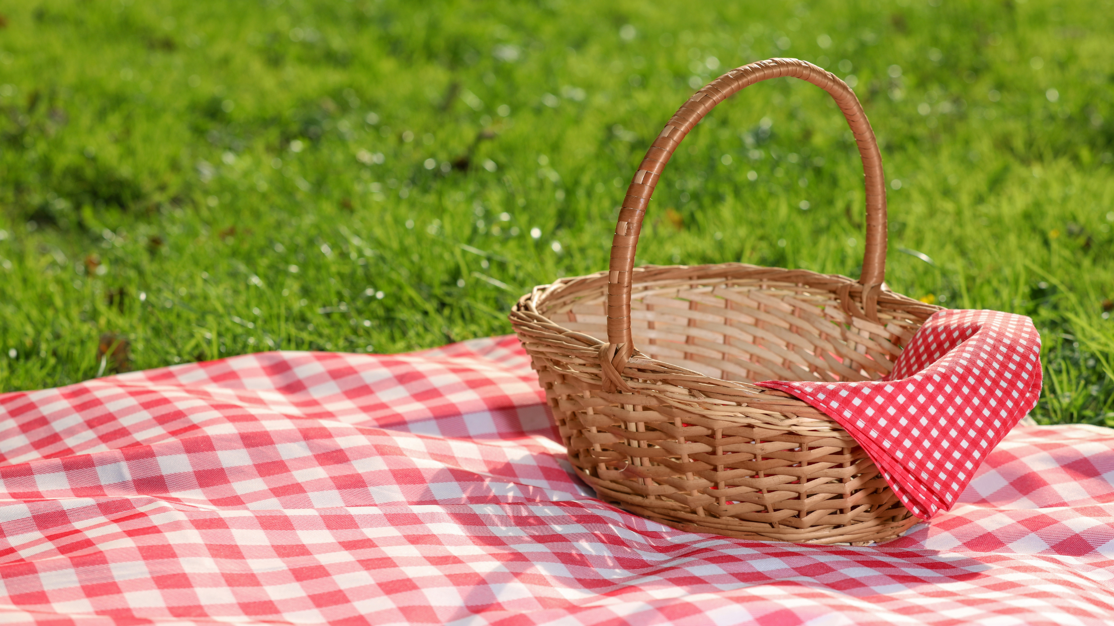 Cómo transportar y guardar comida en picnics, excursiones o barbacoas